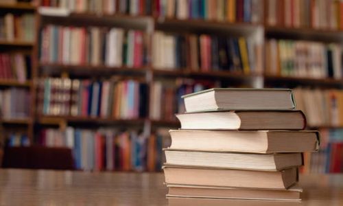 Paper on Public Libraries