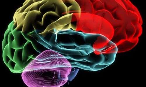 [C11T2] - Neuroaesthetics