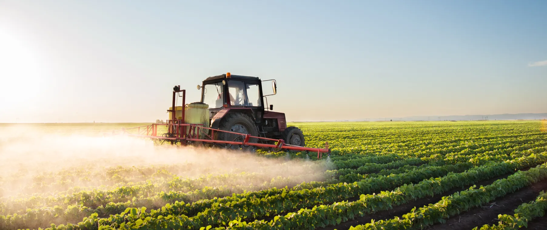 VOL 6 Test 3 - The growth of agriculture