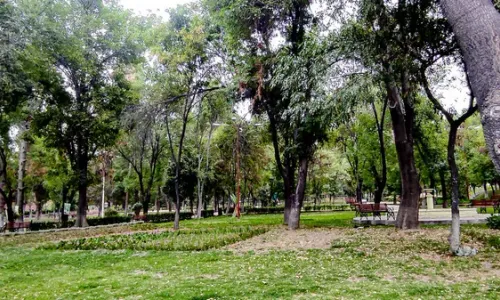 Greenvale agricultural park