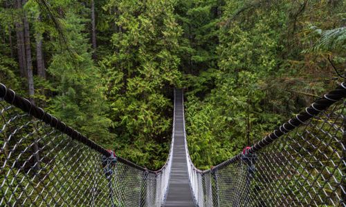 [C15T4] - Coft Valley Park