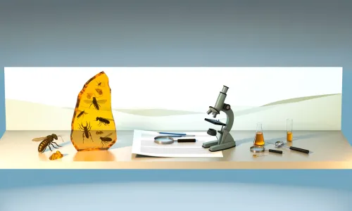  An Overview of The Research on Amber