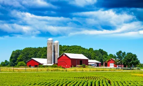 Fiddy working heritage farm