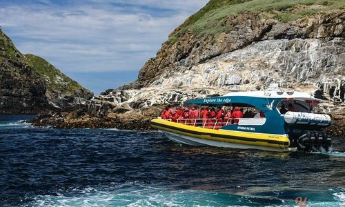 [C17T1] - Boat trip round Tasmania