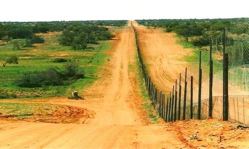 The Great Australian Fence