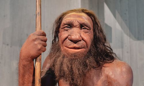  Neanderthals and modern humans