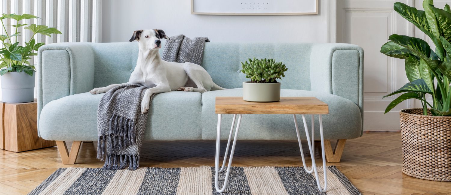  [C20T3] - Furniture Rental Companies