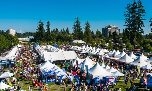  Festival information