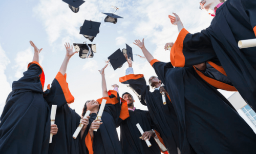  Navigating Academic Choices: A Student's Guide