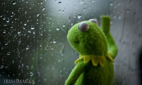 Effects of weather on mood