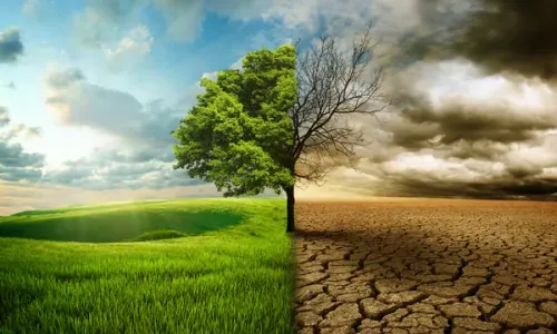 [C11T1] - Reducing the Effects of Climate Change