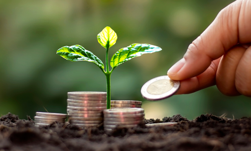 Environmental practices of big businesses