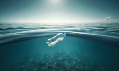  Assessing the threat of marine debris