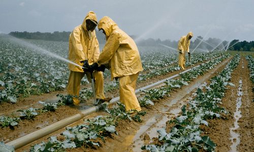 Research on improving agricultural yeilds in Africa