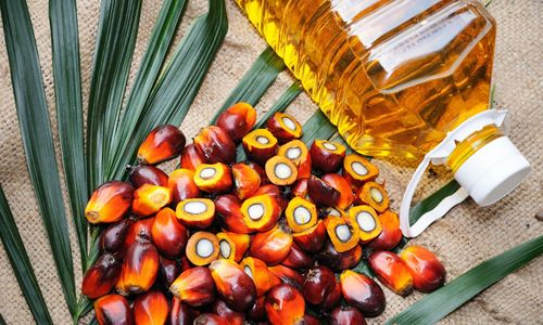  Palm oil