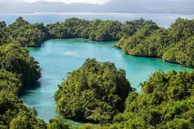 [Actual Test] - Muna Island