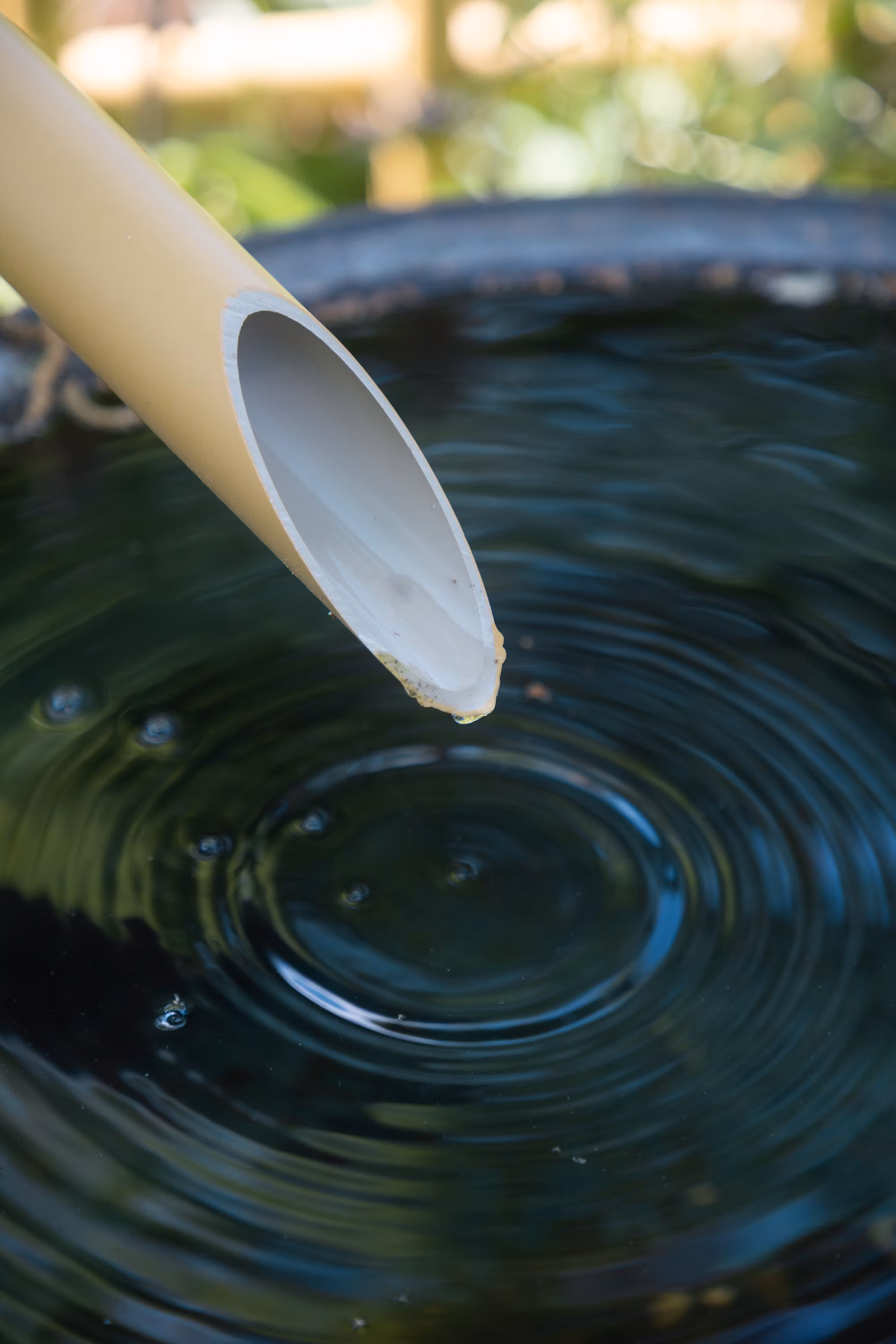 [Recent Tests- VOL] - New filter promises clean water for millions