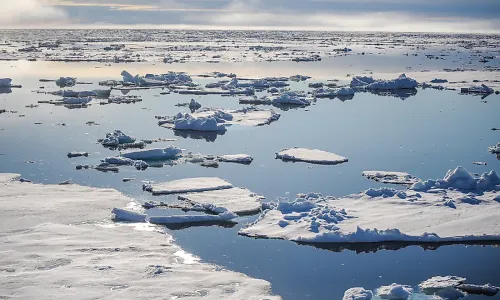  Can we prevent the poles from melting?