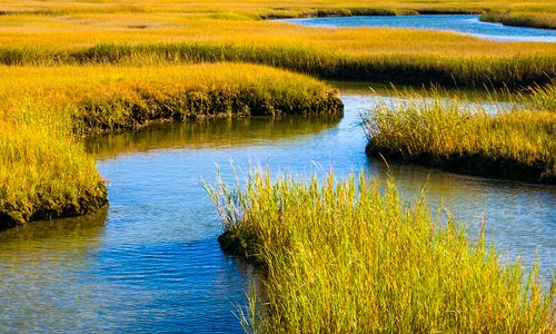 The global importance of wetlands