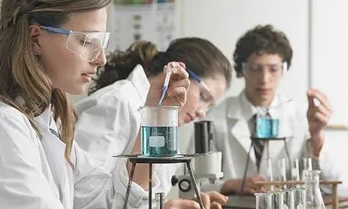 Science experiment for year 12 students