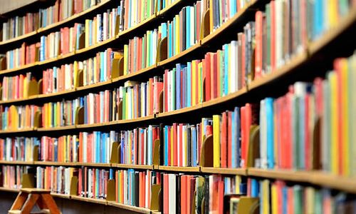 [Trainer] - Selmone Public Library