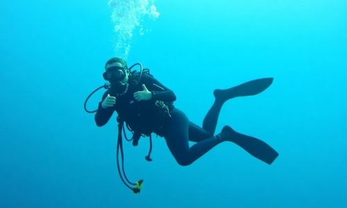 [Forecast Q1-2025] - Land Diving in Vanuatu