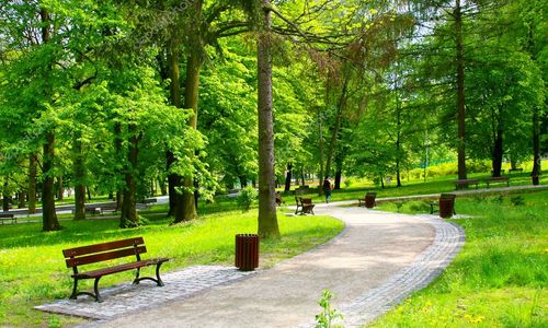 [C19T1] - Hinchingbrooke Country Park