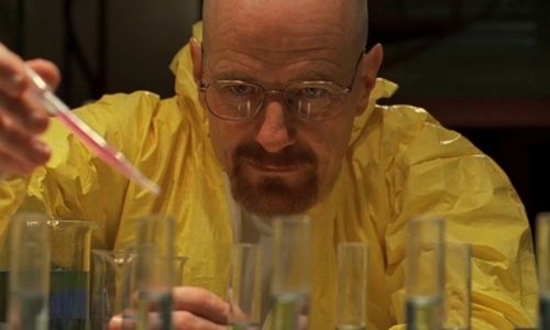 Stages in the experiment